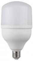Лампа светодиодная  ЭРА LED smd POWER 30W-6500-E27