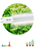 ЭРА Лампа полного спектра FITO-18W-Ra90-Т8-G13-NL (25/700)