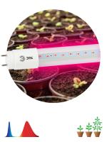 ЭРА Лампа красно-синего спектра FITO-18W-RB-Т8-G13-NL (25/700)