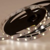 Лента светодиодная 12В, SMD2835, 4,8Вт/м, 60 LED/м, 6500K, 8мм, 5м, IP20 LAMPER