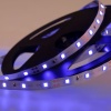 Лента светодиодная 12В, SMD2835, 4,8Вт/м, 60 LED/м, синий, 8мм, 5м, IP20 LAMPER