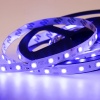 Лента светодиодная 12В, SMD5050, 14,4Вт/м, 60 LED/м, синий, 10мм, 5м, IP20 LAMPER