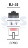 Розетка компьютерная внешняя 2-порта, UTP RJ-45 (8P8C), CAT 5e REXANT