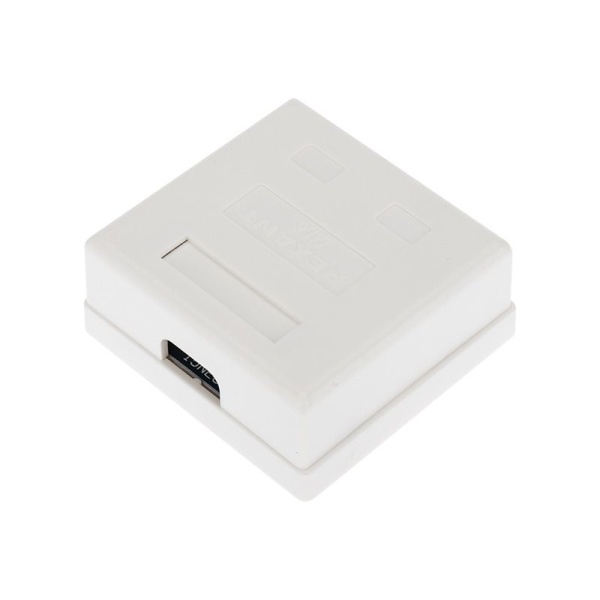 Розетка компьютерная внешняя, 2-порта RJ-45 (8P8C), UTP CAT 6 REXANT