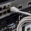 Шнур коммутационный, патч-корд F/UTP RJ45-RJ45, CAT 5e, LSZH серый, 1,5м REXANT