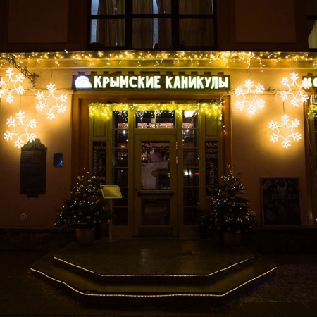 Светодиодная фигура из дюралайта Снежинка 55x55см ТЕПЛЫЙ БЕЛЫЙ NEON-NIGHT