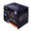 Гирлянда светодиодная Мультишарики Ø17,5мм 20м 200 LED RGB черный ПВХ IP65 быстрая смена цвета 230В нужен блок 303-500 NEON-NIGHT