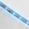 Дюралайт LED двухжильный 230В 13мм 30 LED/м СИНИЙ постоянное свечение модуль 1м бухта 100м NEON-NIGHT