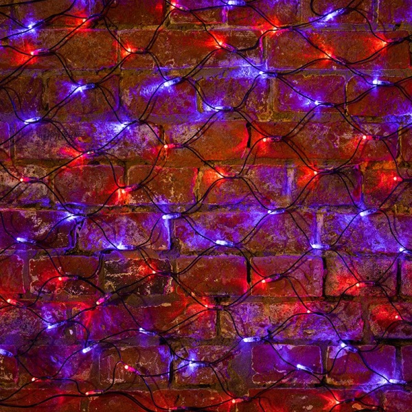 Гирлянда светодиодная Сеть 2х0,7м 176 LED КРАСНЫЙ/СИНИЙ черный ПВХ IP65 свечение с динамикой 230В контроллер в комплекте NEON-NIGHT